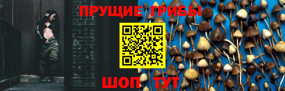 Галлюциногенные грибы Psilocybine cubensis  Вход с VPN  Уварово 